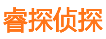 惠农市私人侦探